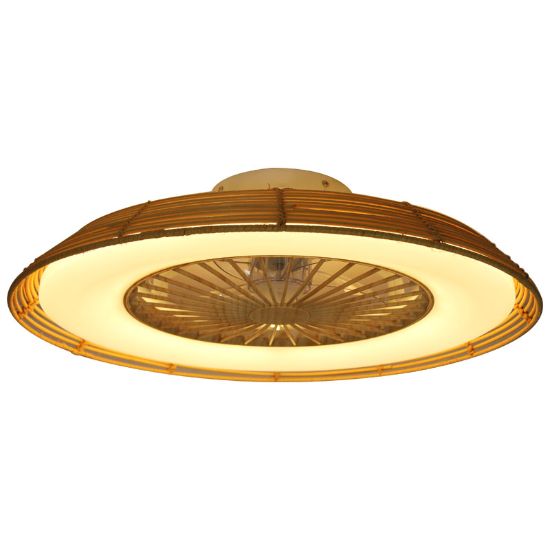 Overview of Rattan Ceiling Fan Lights