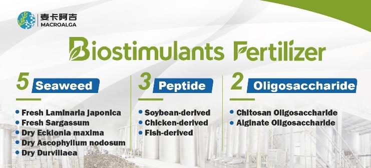 Reliable China Biostimulants: Which One Should You Trust?